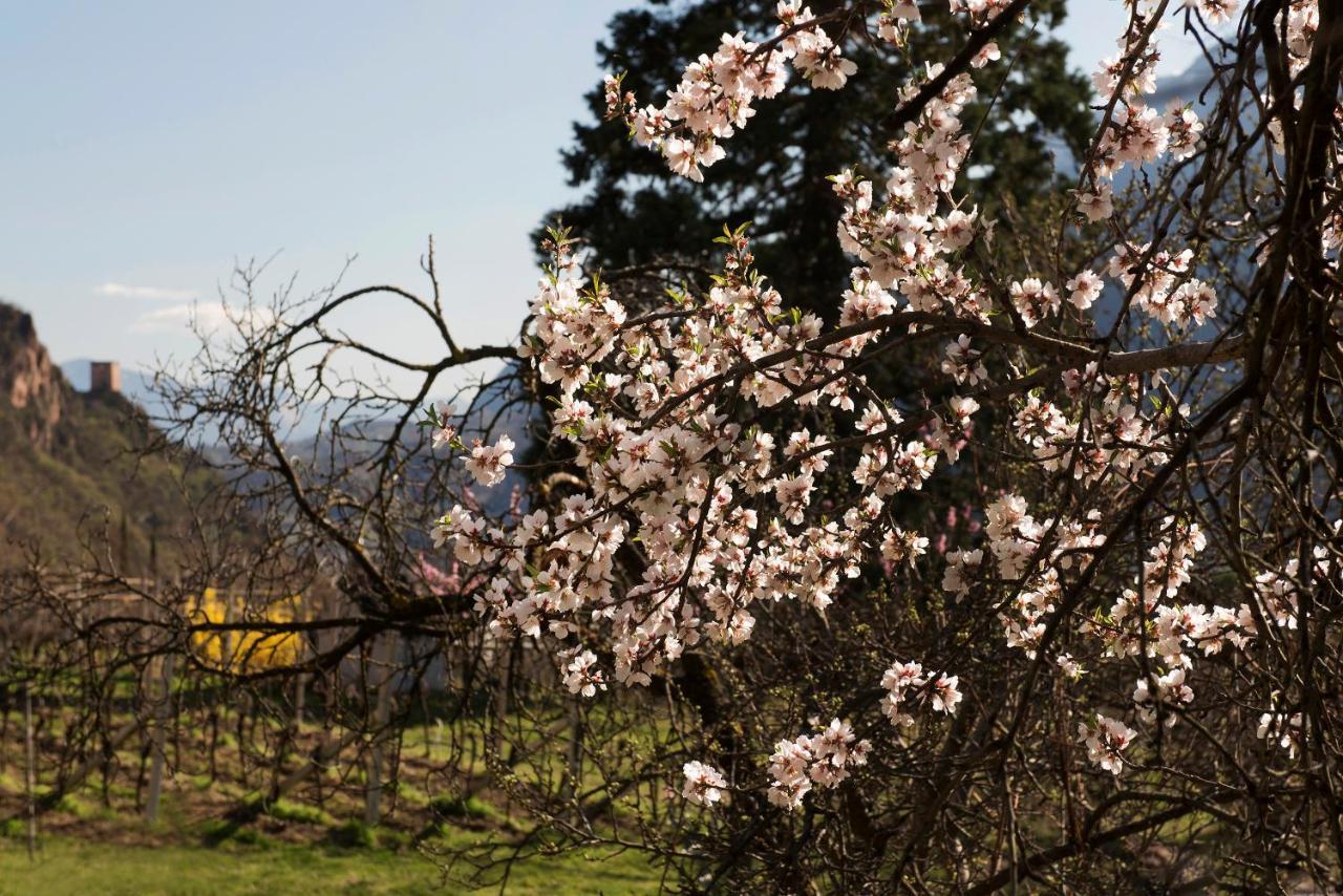 Villa Sonnenschein Terlano Exteriér fotografie